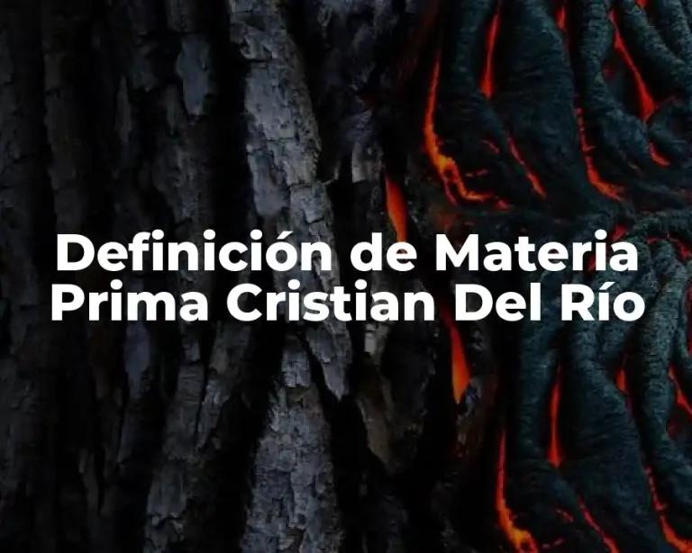 Definición de Materia Prima Cristian Del Río