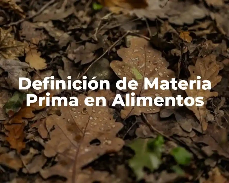 Definición de Materia Prima en Alimentos