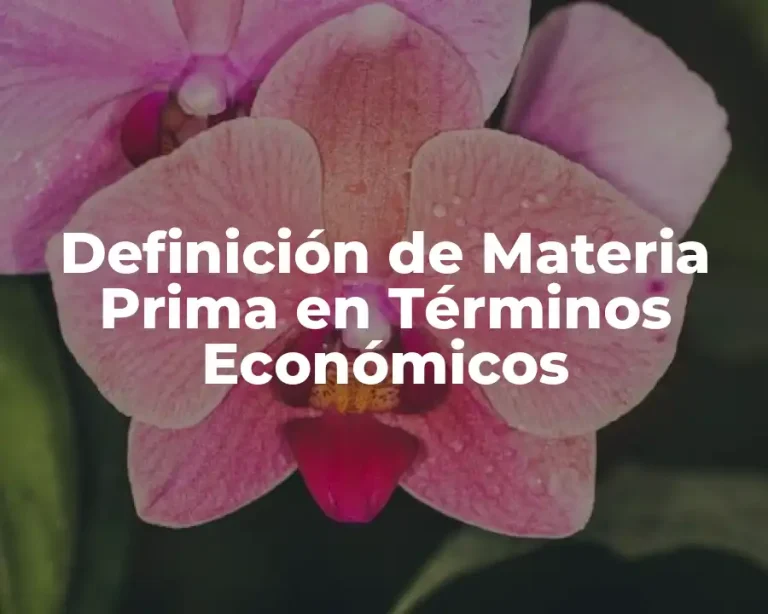 Definición de Materia Prima en Términos Económicos