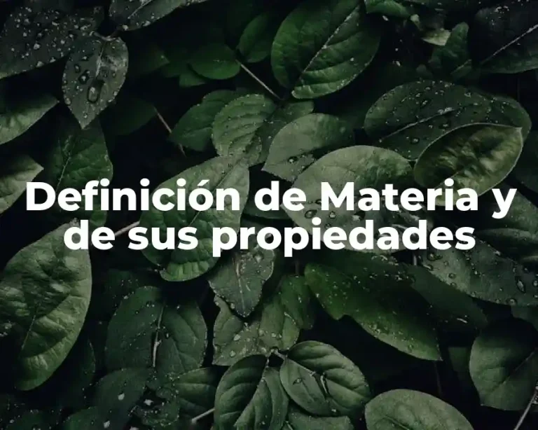 Definición de Materia y de sus propiedades
