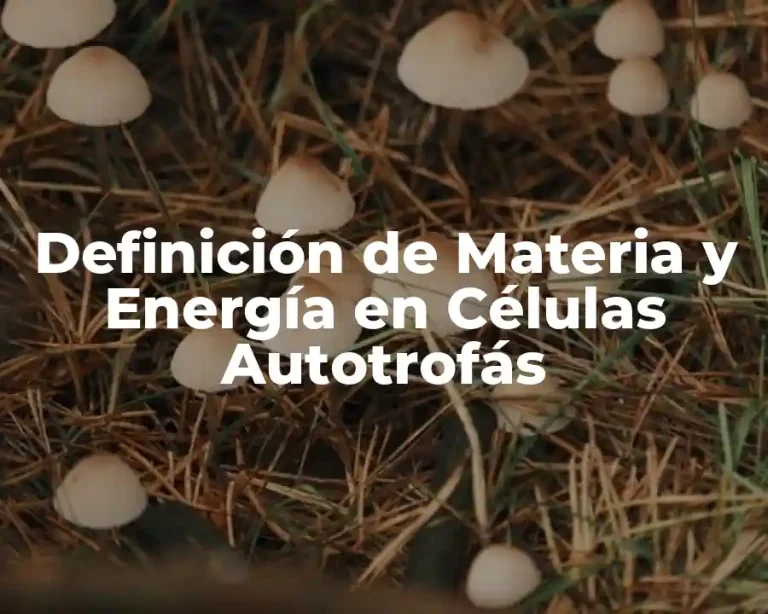 Definición de Materia y Energía en Células Autotrofás