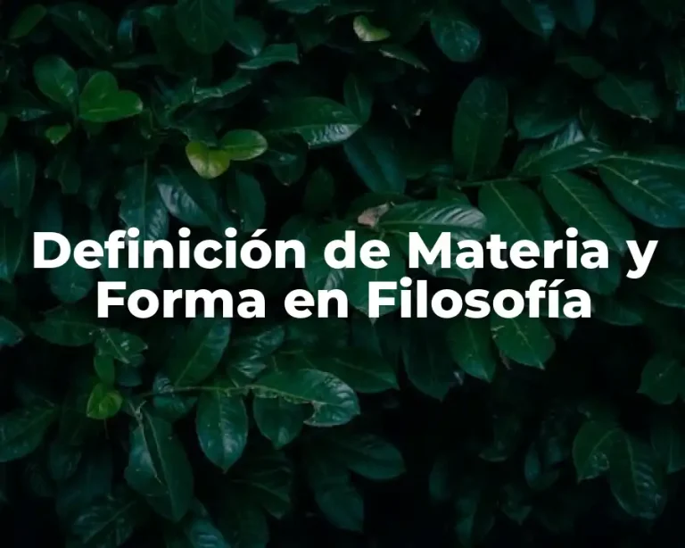 Definición de Materia y Forma en Filosofía