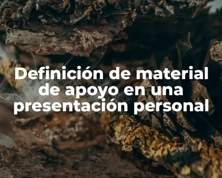 Definición de material de apoyo en una presentación personal