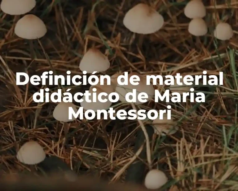 Definición de material didáctico de Maria Montessori