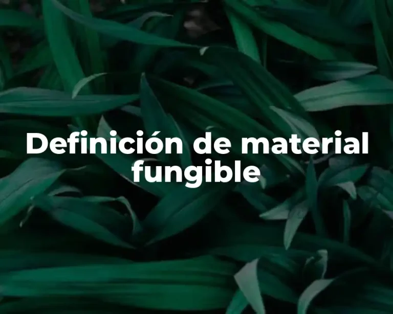 Definición de material fungible