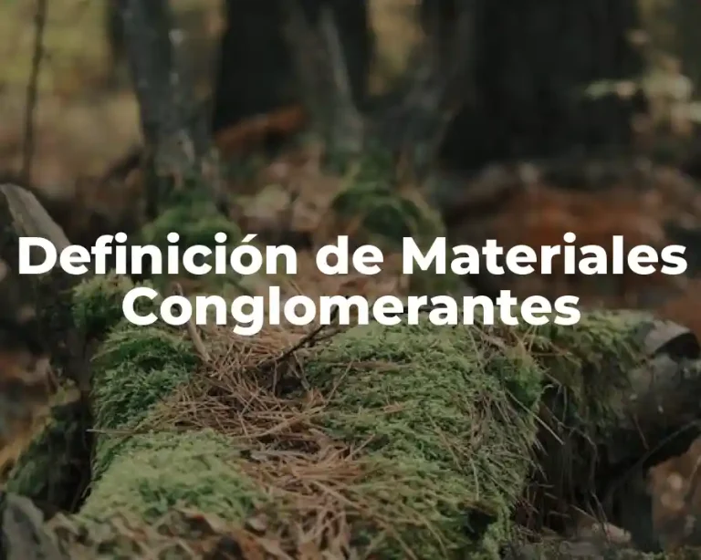 Definición de Materiales Conglomerantes