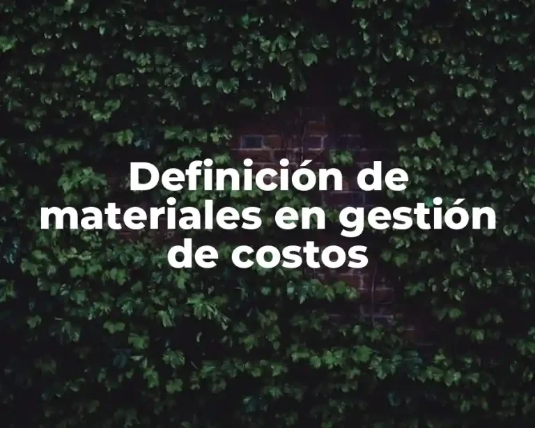 Definición de materiales en gestión de costos