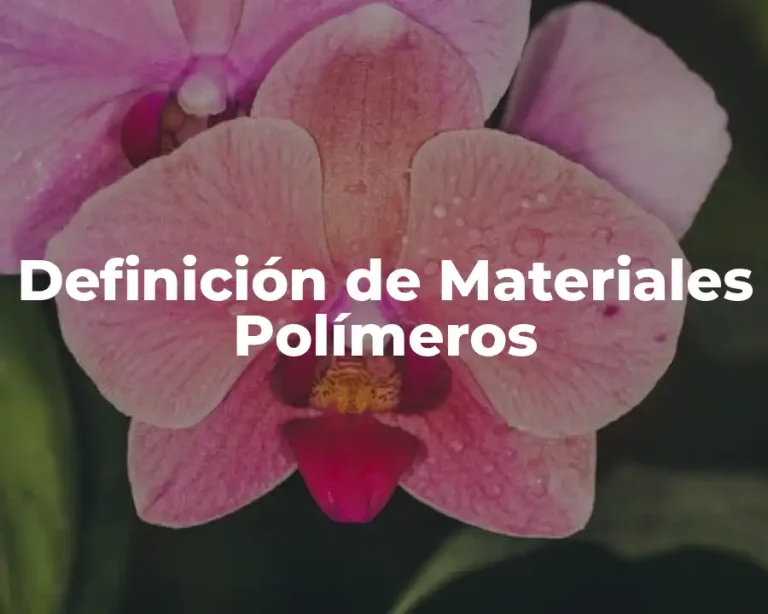 Definición de Materiales Polímeros