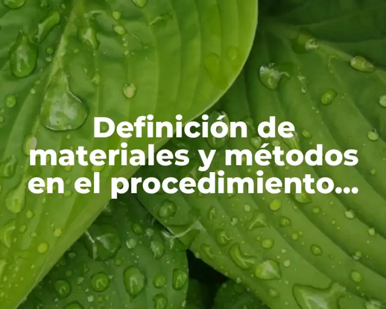 Definición de materiales y métodos en el procedimiento contable