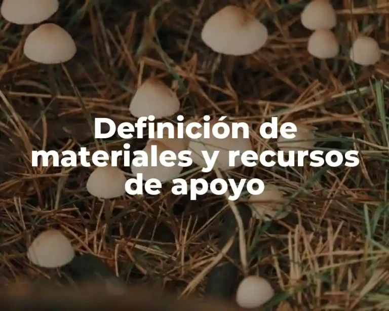 Definición de materiales y recursos de apoyo