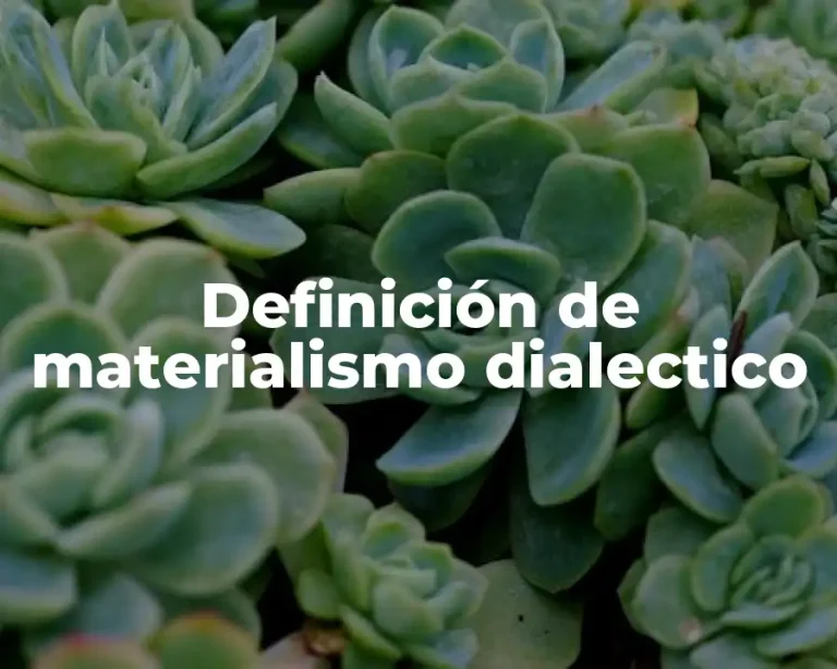 Definición de materialismo dialectico
