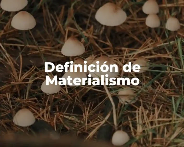 Definición de Materialismo