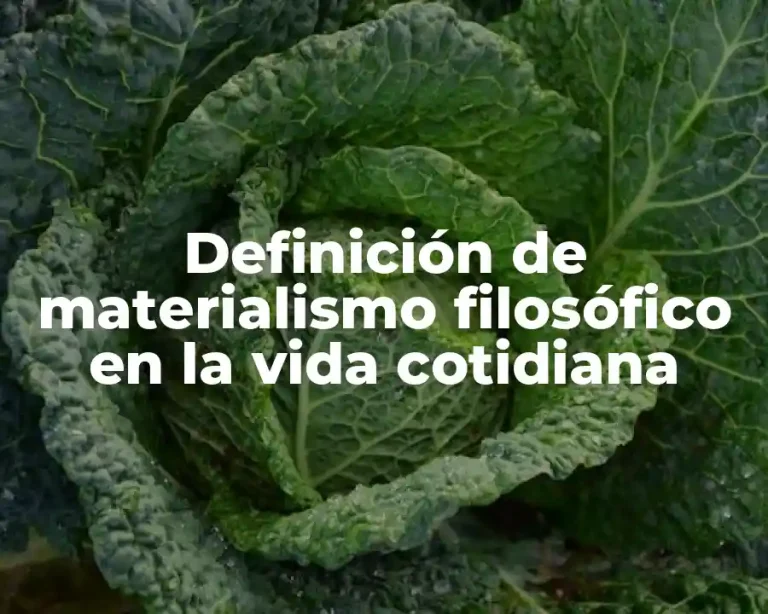 Definición de materialismo filosófico en la vida cotidiana