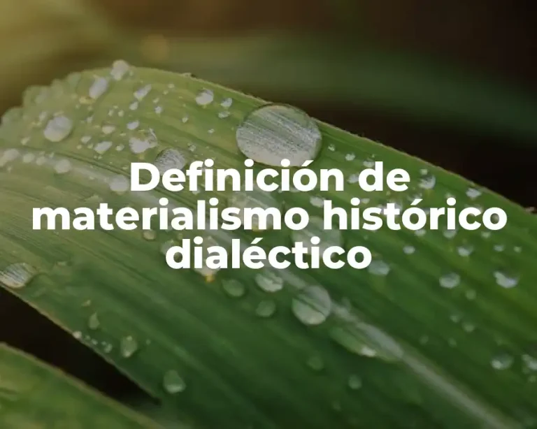 Definición de materialismo histórico dialéctico