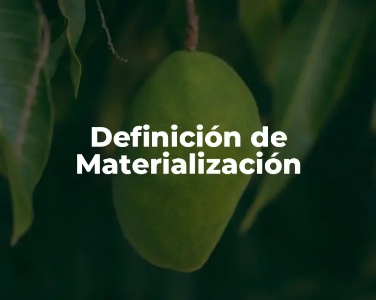 Definición de Materialización