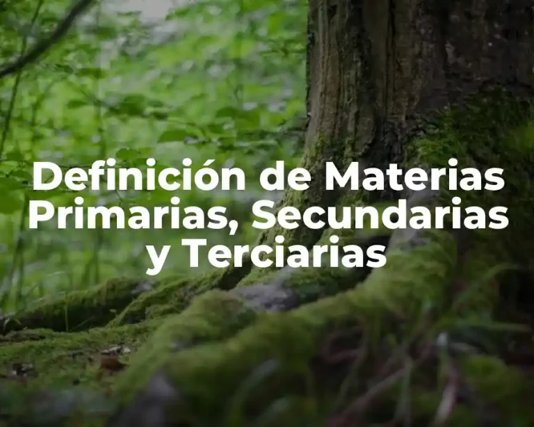 Definición de Materias Primarias, Secundarias y Terciarias