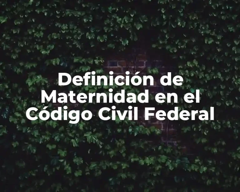 Definición de Maternidad en el Código Civil Federal