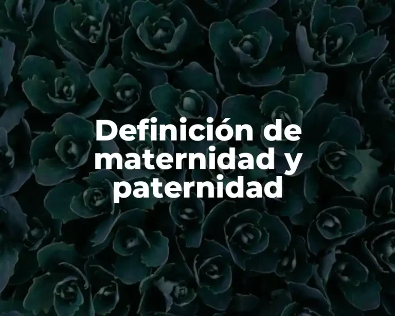 Definición de maternidad y paternidad