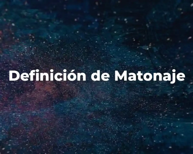 Definición de Matonaje