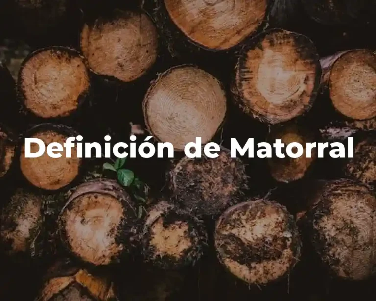 Definición de Matorral