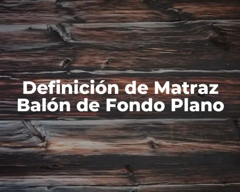 Definición de Matraz Balón de Fondo Plano