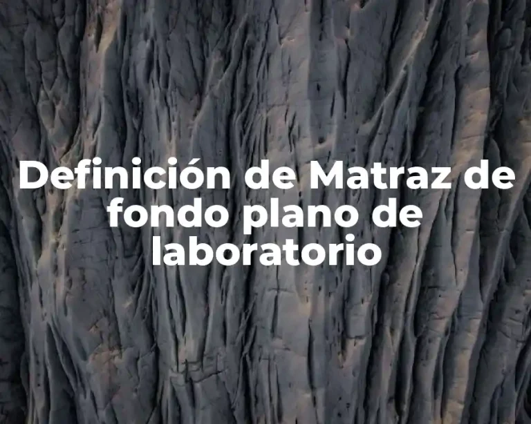 Definición de Matraz de fondo plano de laboratorio