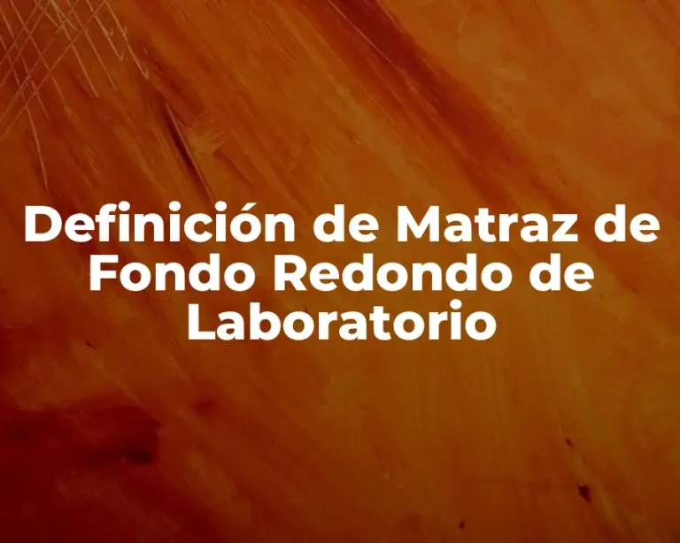 Definición de Matraz de Fondo Redondo de Laboratorio