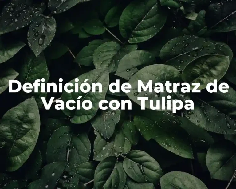 Definición de Matraz de Vacío con Tulipa