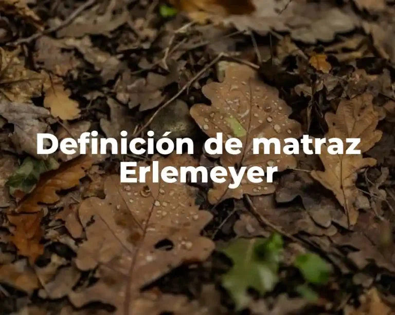 Definición de matraz Erlemeyer