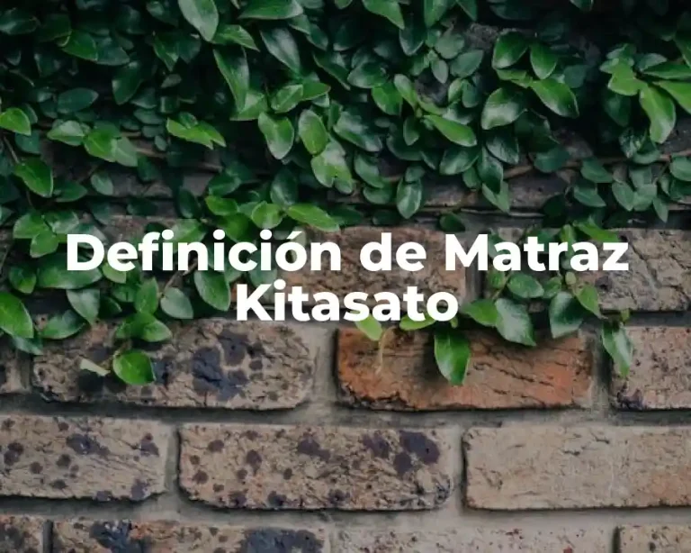 Definición de Matraz Kitasato