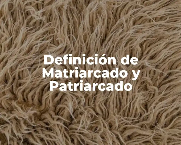 Definición de Matriarcado y Patriarcado
