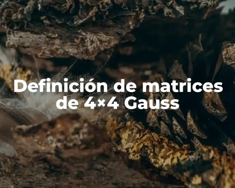 Definición de matrices de 4×4 Gauss