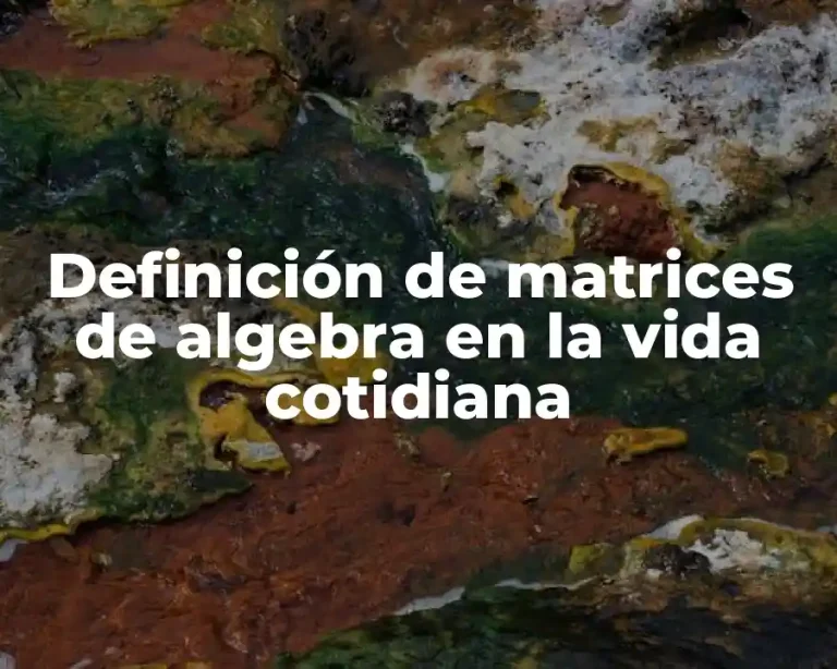 Definición de matrices de algebra en la vida cotidiana