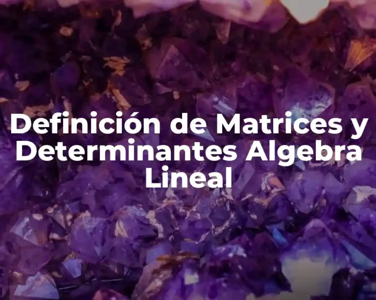 Definición de Matrices y Determinantes Algebra Lineal