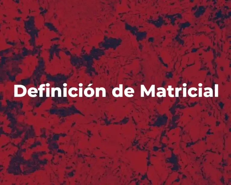 Definición de Matricial