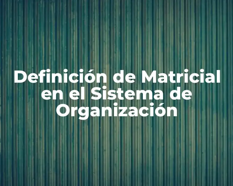 Definición de Matricial en el Sistema de Organización