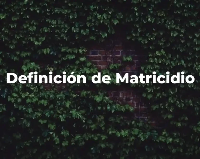 Definición de Matricidio