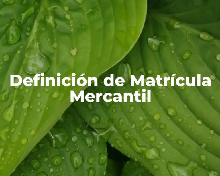 Definición de Matrícula Mercantil