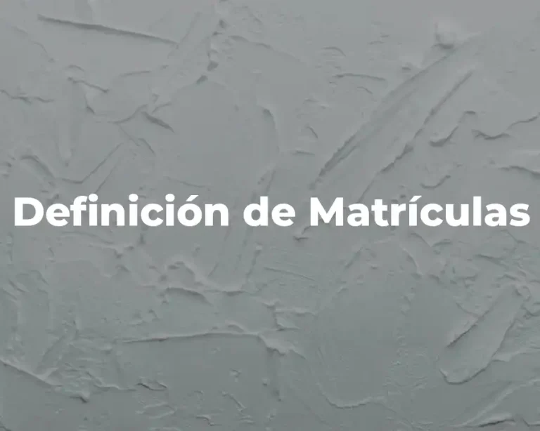 Definición de Matrículas
