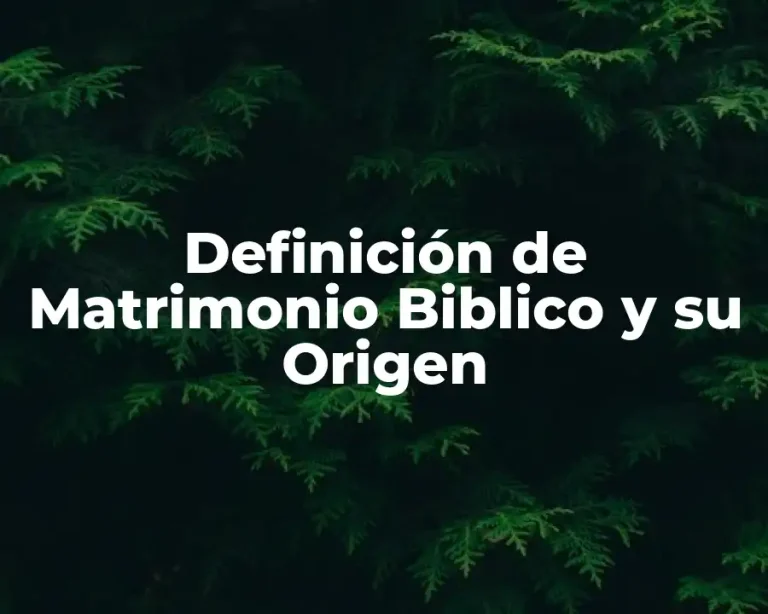 Definición de Matrimonio Biblico y su Origen