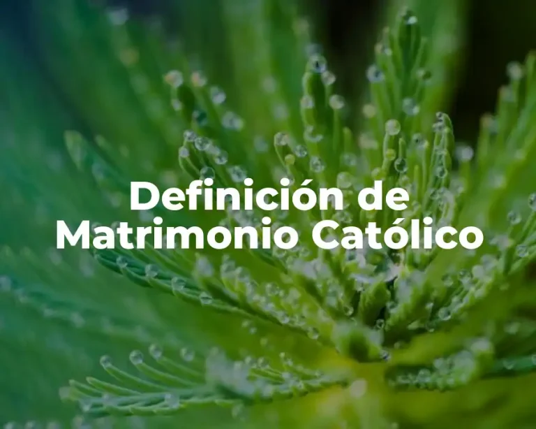 Definición de Matrimonio Católico