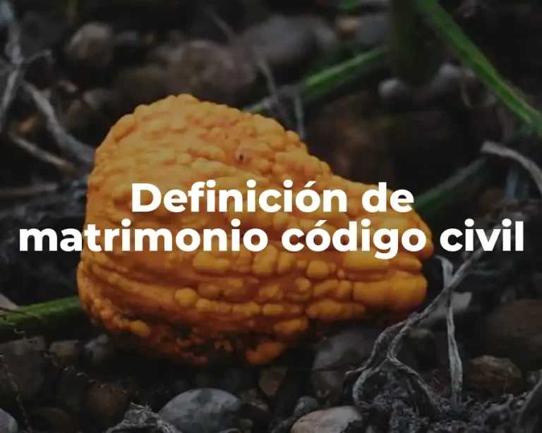 Definición de matrimonio código civil