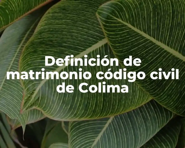 Definición de matrimonio código civil de Colima