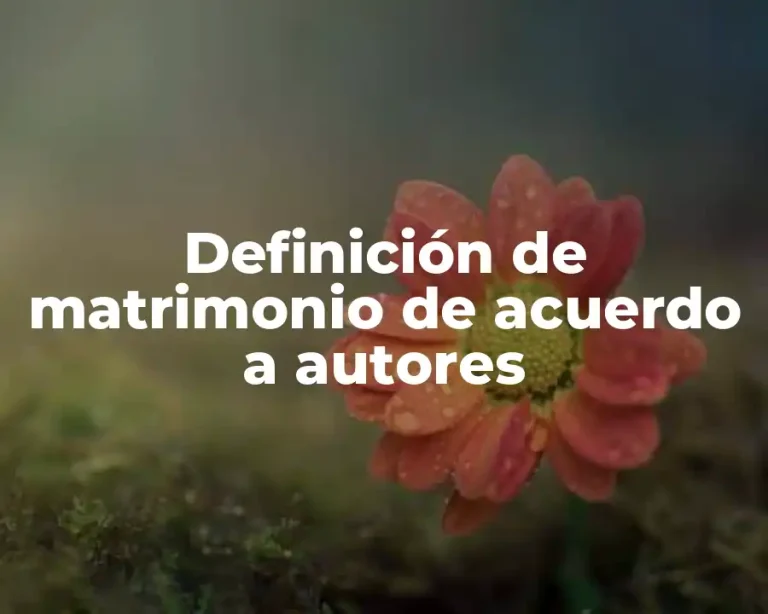 Definición de matrimonio de acuerdo a autores