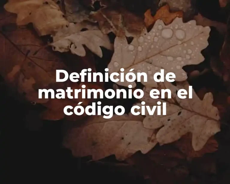 Definición de matrimonio en el código civil