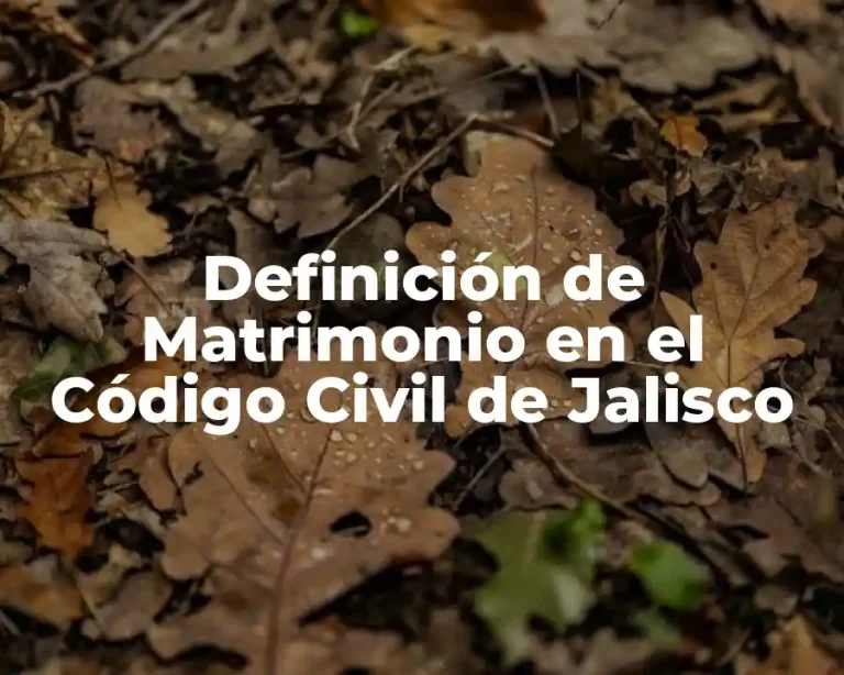 Definición de Matrimonio en el Código Civil de Jalisco