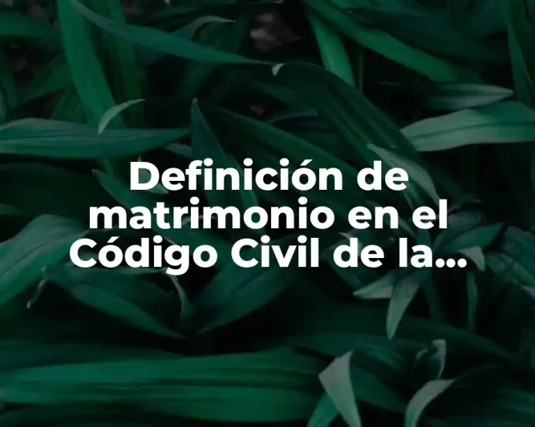 Definición de matrimonio en el Código Civil de la Ciudad de México
