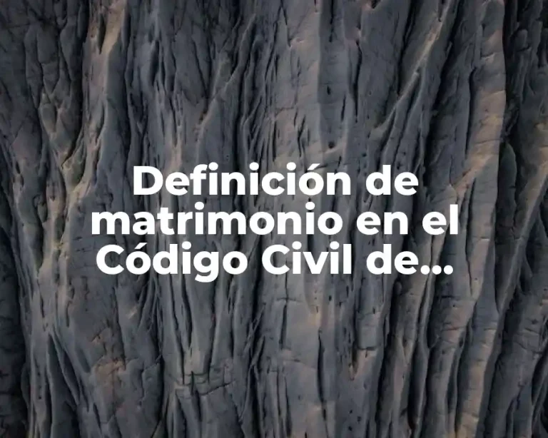 Definición de matrimonio en el Código Civil de Zacatecas