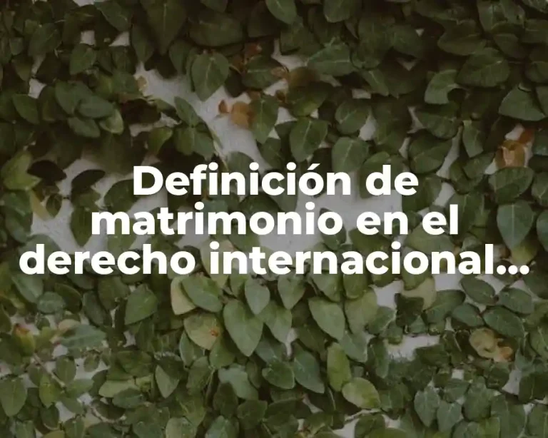 Definición de matrimonio en el derecho internacional privado