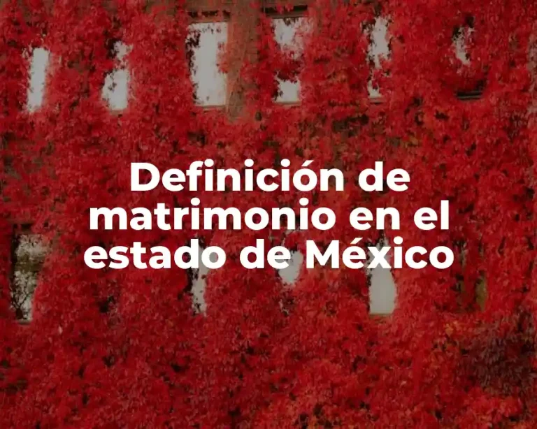Definición de matrimonio en el estado de México